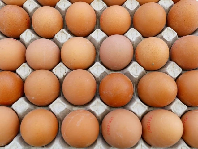 france-eggs1770951760-0-640×480.webp.webp